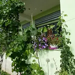 Guesthouse Aleksander